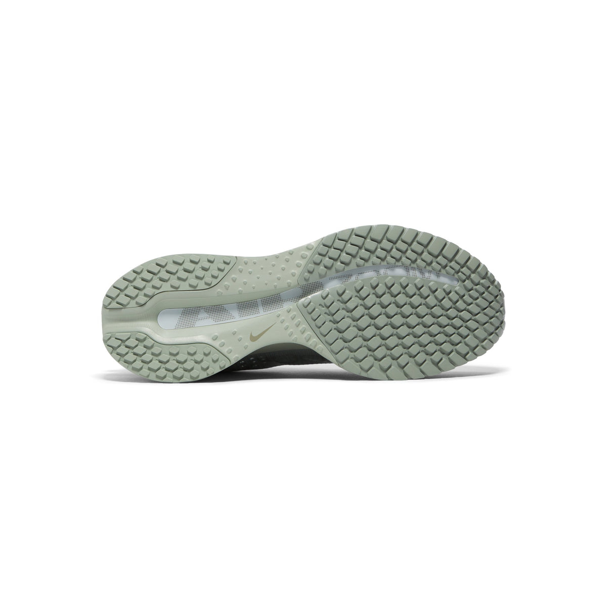Nike Pegasus Premium (Jade horizon/Light army)